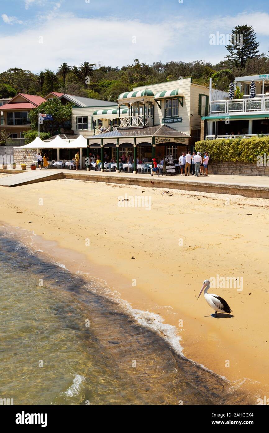 Sydney Watson's Bay - der Strand in Watsons Bay, und Gebäude, darunter die berühmte Doyles am Strand Restaurant, Watsons Bay Sydney Australien Stockfoto
