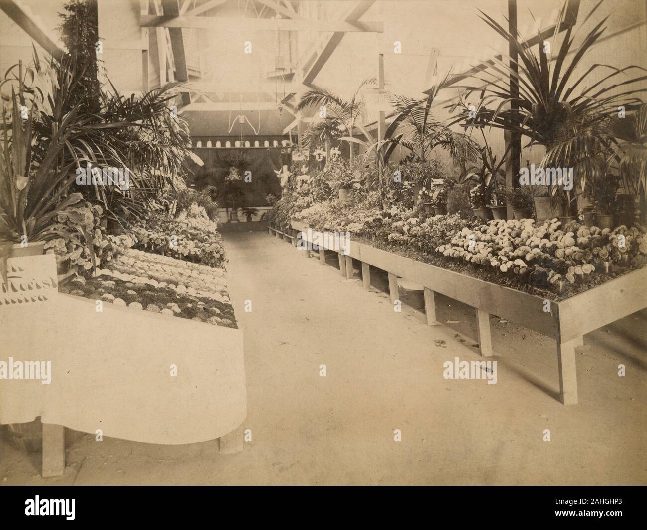 Antike c 1890 Foto, florale Ausstellung am Großen zwischenstaatlichen Messe in Elmira, New York. Quelle: original Foto Stockfoto