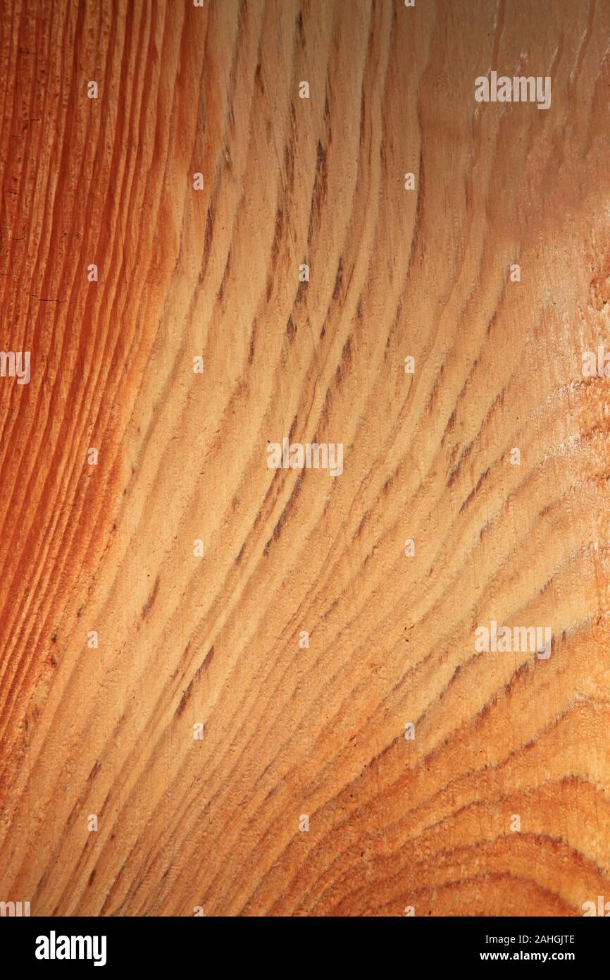 In der Nähe von Holz- Textur einer frisch geschnittene Kiefer. Jahresringe auf dem Baumstamm. Hellen Hintergrund der Baumstamm im Querschnitt Stockfoto