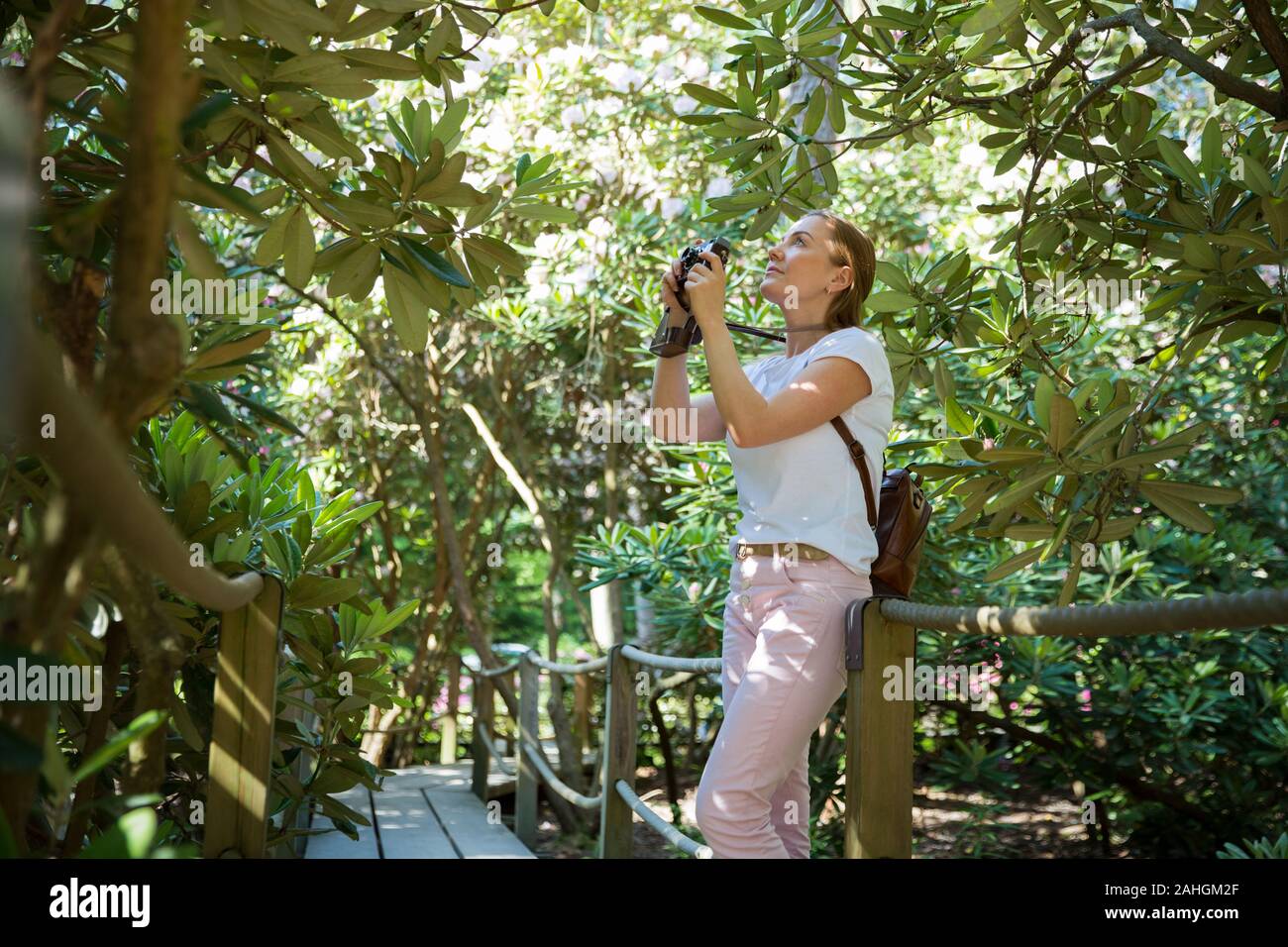 Porträt einer schönen Frau mit Rucksack, der in tropischem Wald unterwegs ist und Fotos mit Retro-Kamera aufgenommen hat. Touristen im Rhodendron-Park. Stockfoto