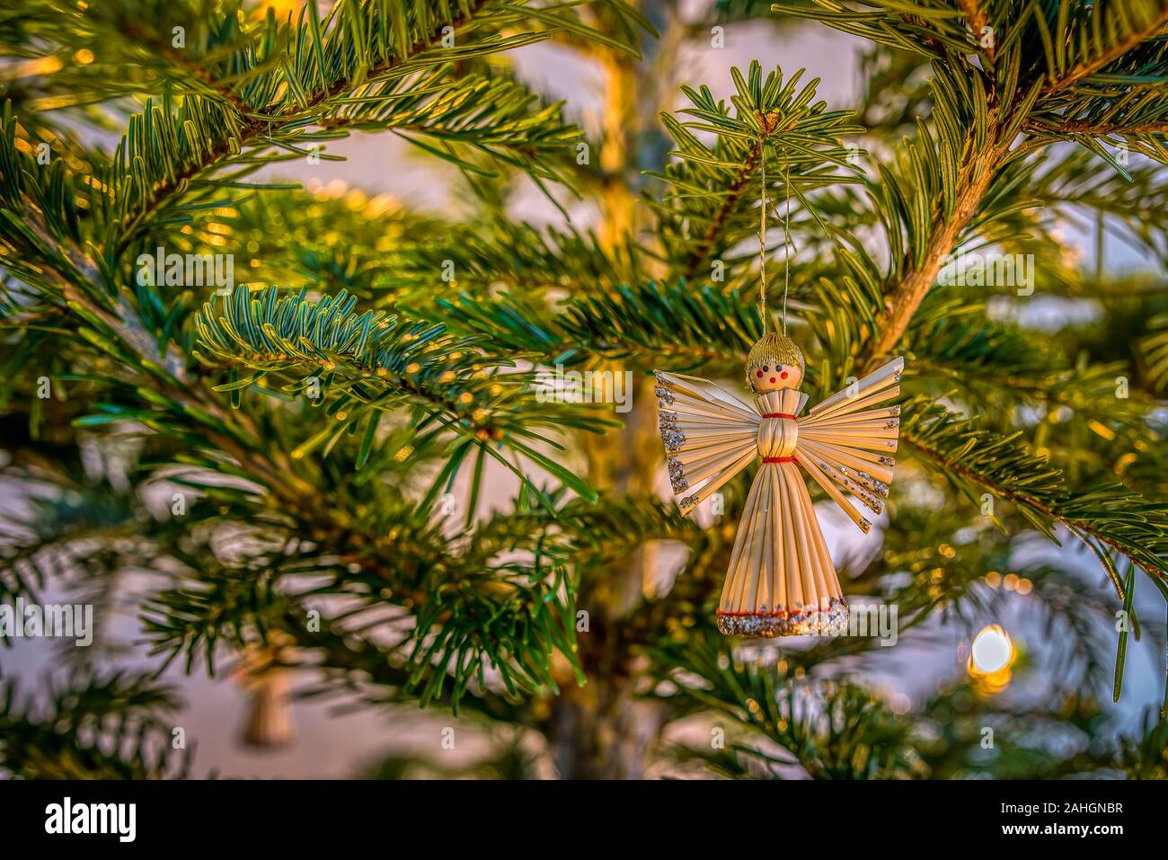 Engel aus Stroh, hängen in einem grünen Zweig von einem Weihnachtsbaum, Demnark, 30. Dezember 2019 Stockfoto