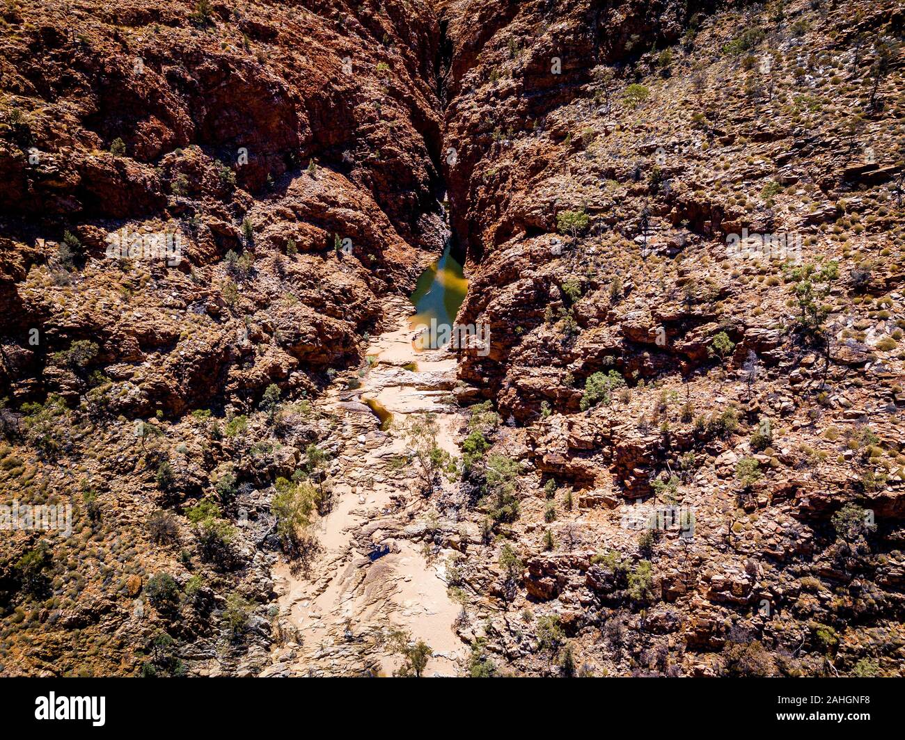 Das Wasserloch in der Redbank Gorge in den West MacDonnell Ranges, Northern Territory, Australien Stockfoto