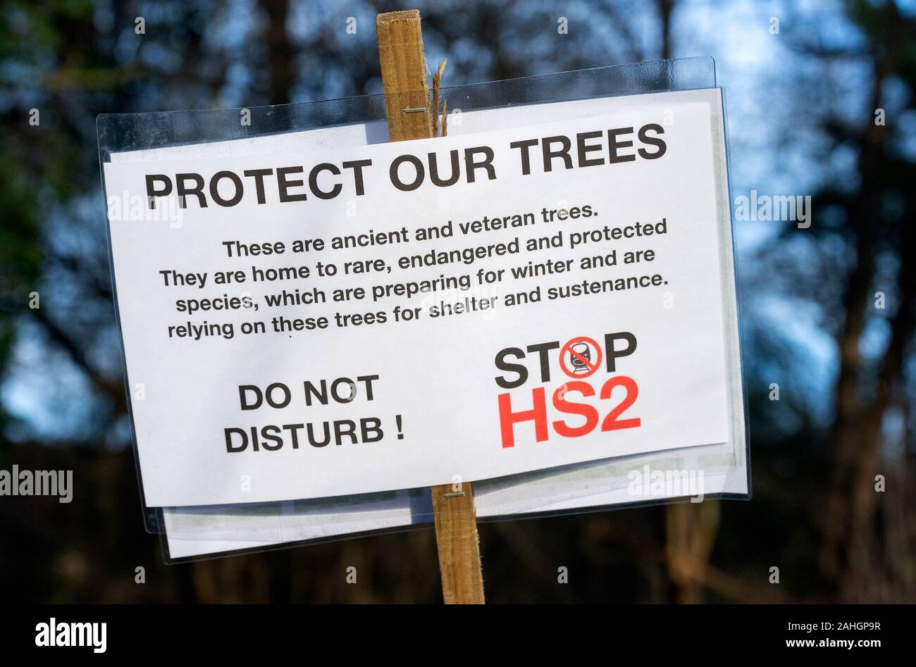 Denham, UK. 29. Dezember 2019. Stehen für die Bäume, einen für die Tierwelt und Wasser, organisiert von Chris Packham und vom Aussterben Rebellion, # ReThinkHS 2, speichern Sie die Colne Valley, STOP HS2 und Hillingdon Grüne Partei unterstützt. Referenten das Bedrohungen der Lebensräume, die in den Wohnungen der bedrohten Aale, Fledermäuse, Fischotter, Wasser Wühlmäuse, der Verlust von 28.000 Bäume zu HS2 und der Chalk aquifer, zu viel von Londons Wasser trägt. Bild, schützen unsere Bäume, Stop HS2 Plakat. Credit: Stephen Bell/Alamy Stockfoto