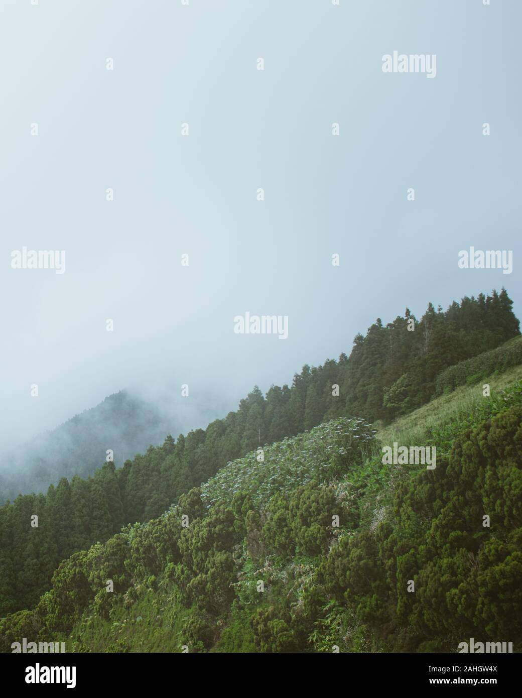 Blick Auf Die Insel Ponta Delgada Stockfoto