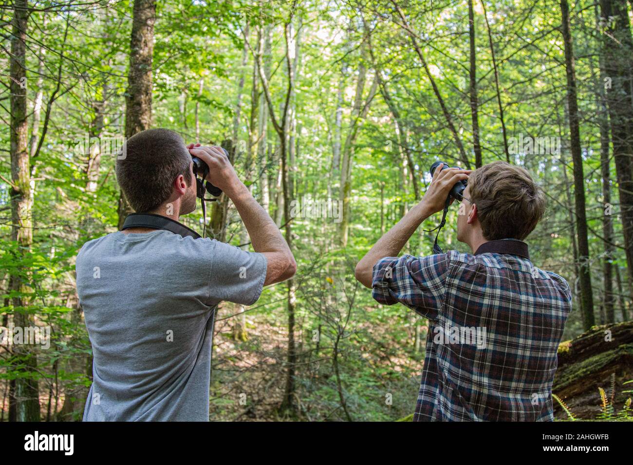 Zwei junge Männer Vogelbeobachtung in den Wäldern Stockfoto
