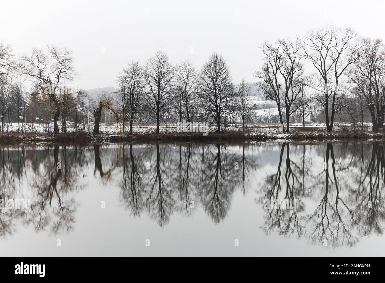 Bäume, die in einer Winterlandschaft am See reflektiert werden Stockfoto