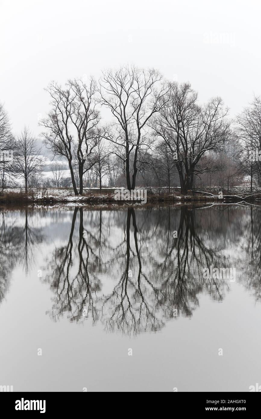 Bäume, die in einer Winterlandschaft am See reflektiert werden Stockfoto