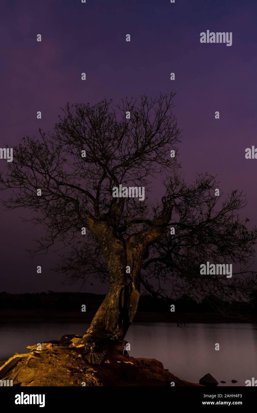 Unfruchtbare Baum gegen eine Dämmerung Himmel in unberührten Farben mit einem See Stockfoto Unfruchtbare Baum gegen eine Dämmerung Himmel in unberührten Farben mit einem See Stockfoto