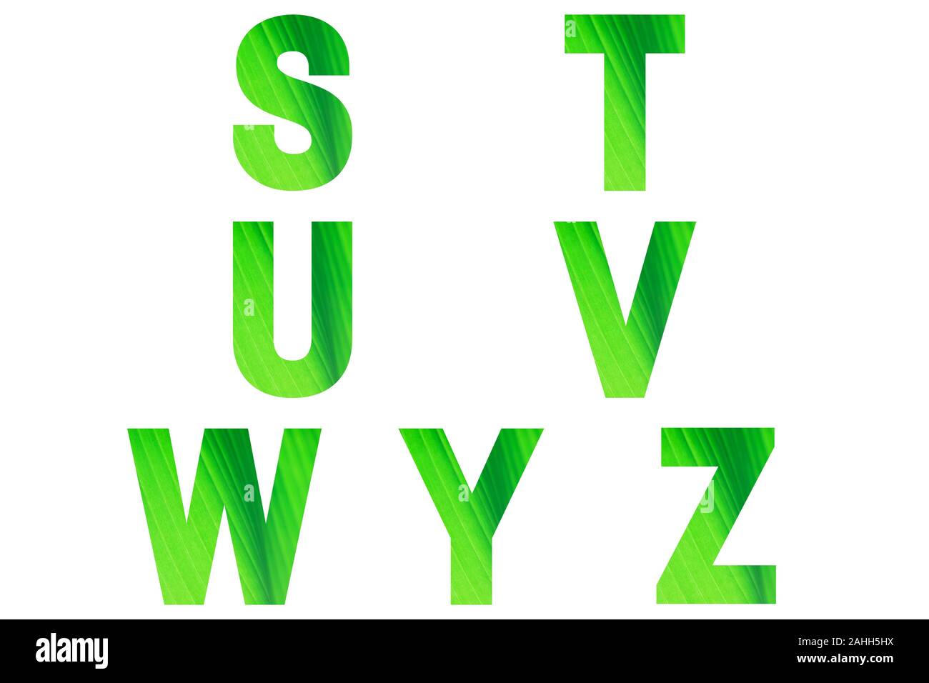 Grüner schrift Alphabet s, t, u, v, w, y, z von Blatt Hintergrund der natürlichen Banane gemacht. Stockfoto