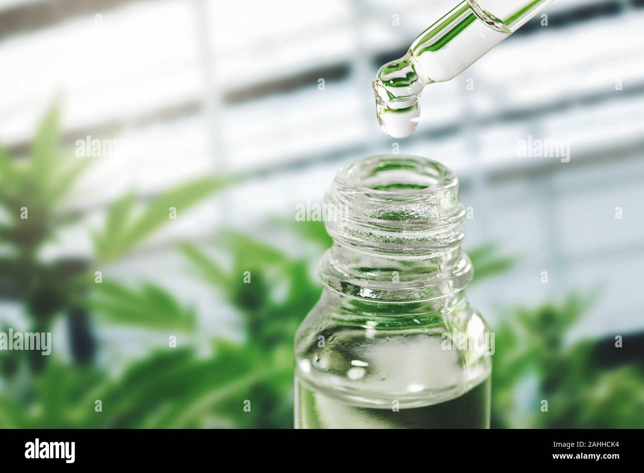 Pflanzliche alternative Medizin - cbd Öl Flasche und dropper mit droplet. Kopieren Sie Platz Stockfoto