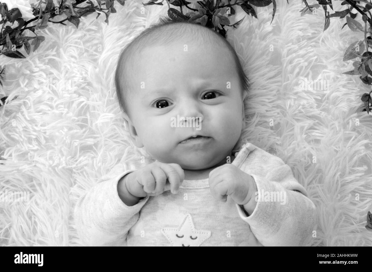 Säugling, Neugeborenes Stockfoto