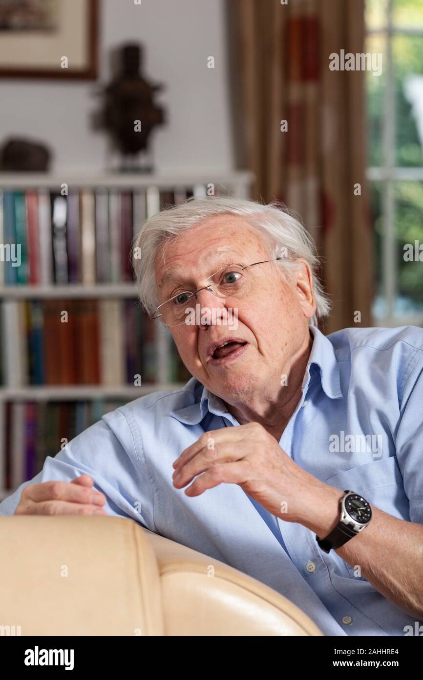 Sir David Attenborough, englische Sender und Naturforscher, in seinem Haus in Richmond Borough of Richmond upon Thames, England UK Stockfoto