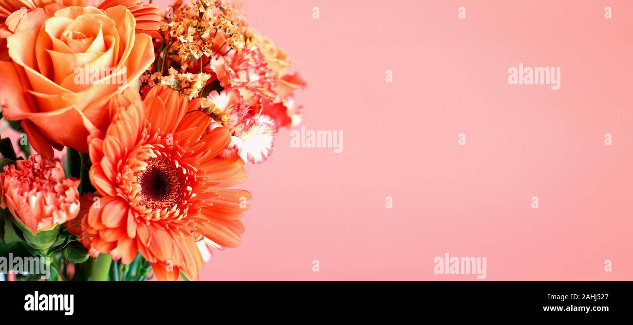Blumenstrauß aus schönen Korallen farbige Blumen mit selektiven Fokus auf einen Teil der Gerbera Daisy gegen ähnliche farbigen Hintergrund. Blumenstrauß enthält Stockfoto