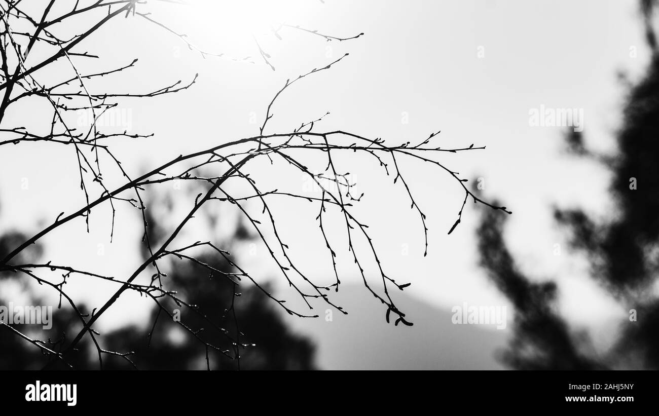 Blick von der Capska Palice in der Tschechischen Republik Stockfoto