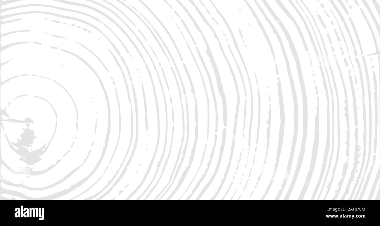 Material Holz Oberfläche Baum alter Ringe Textur. Holz- ringe Oberfläche. 4K-ringe Hintergrund. Vintage Effekt grit Textur. Natürliche Holzbrett trace Stock Vektor