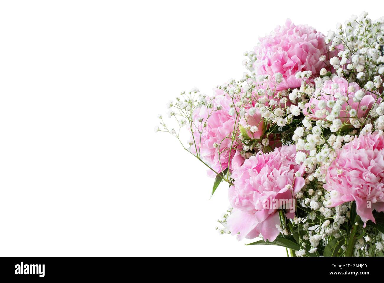 Rosa Blüte Strauß Pfingstrosen und Baby's Atem Blumen über einen weißen Hintergrund mit freier Platz für Ihren Text. Stockfoto
