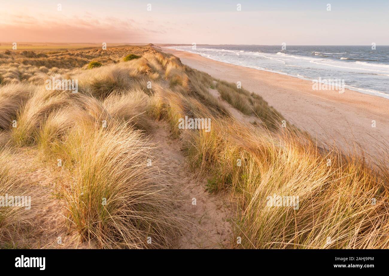 Sanddünen und marram Gras auf druridge Bay eine lange abgelegenen einsamen Sandstrand an der Küste von Northumberland Stockfoto