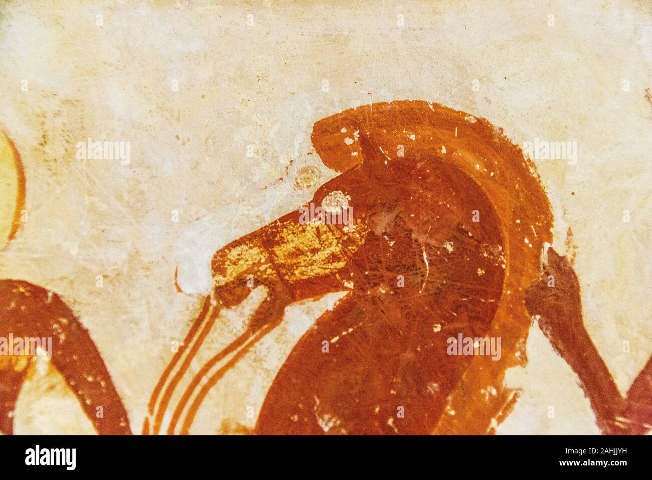Theben in Ägypten, das Tal der Adligen, Grab von userhat (TT56). 2 Pferde, die zweite (weiß), ist recht vollständig von der braunen versteckt. Stockfoto