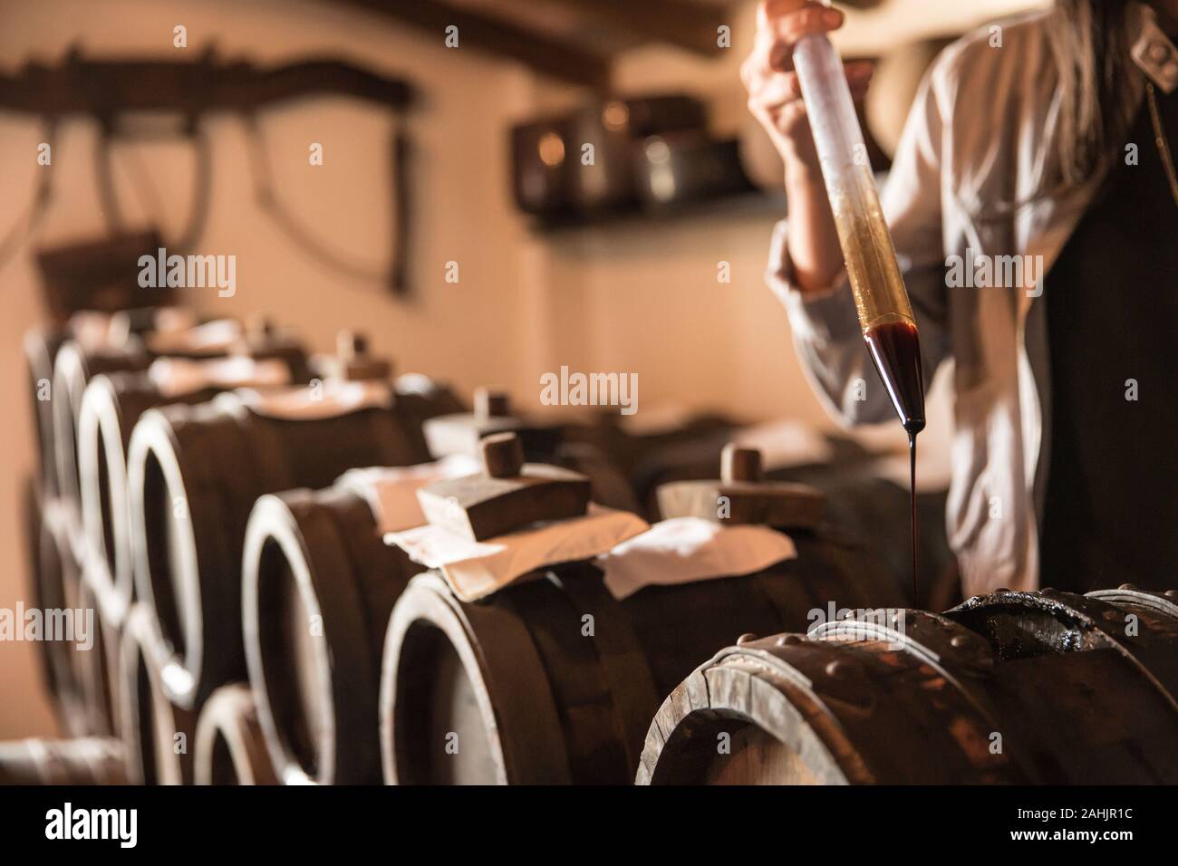 Essig und Wein in Italien, Emilia Romagna, Balsamico Essig Farm Stockfoto