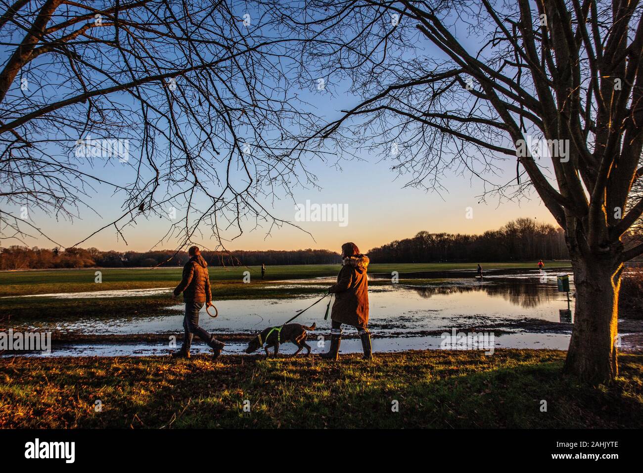 Wimbledon Common, London. 30. Dezember 2019. UK Wetter: Hund Wanderer genießen heute trockenen sonnigen Tag Ende Dezember Abend Sonne wie die Sonnenuntergänge im Westen bei Wimbledon Common, wo Teile der Anlage noch nass werden, nachdem die hohe Zahl der Regentage in den vergangenen Wochen, London, UK Credit: Jeff Gilbert/Alamy leben Nachrichten Stockfoto