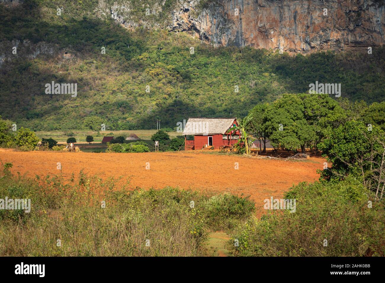 Tal von Vinales. Typische Ansicht von Valle de Vinales mit Bauernhof und mogotes. Die Provinz Pinar del Rio, Kuba. Stockfoto