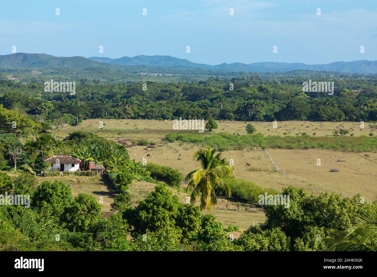 Valle de los Ingenios (Tal der Zuckermühlen) in Kuba, das beliebte Ausflugsziel und eine große Zuckerrohr angebaut. Stockfoto