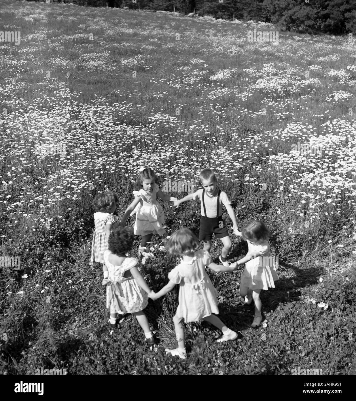 Hohe Betrachtungswinkel der Kinder halten sich an den Händen im Kreis im Bereich der Wildblumen, Foto von Toni Frissell, 1948 Stockfoto