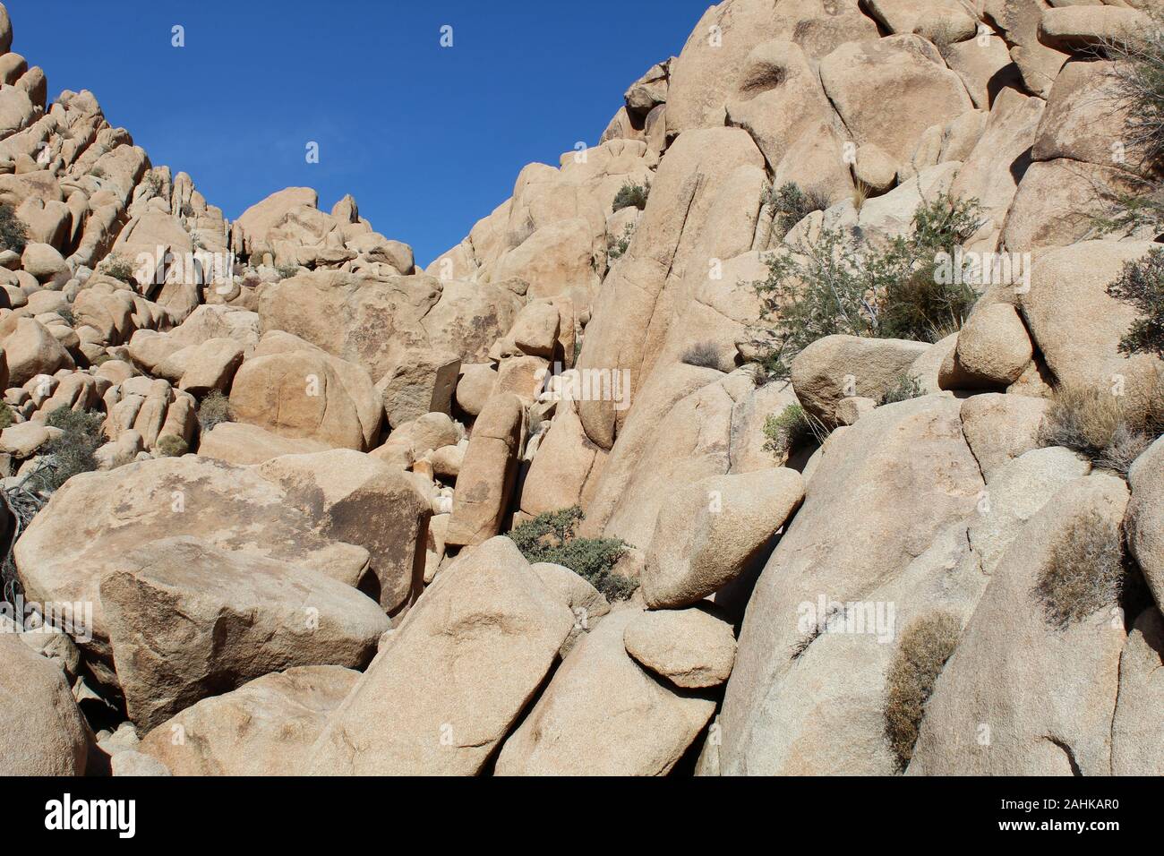 Rock Arrangements von Indian Cove in Joshua Tree National Park, die von der antiken katastrophalen geologischen Ereignisse geschmiedet, wurden hier seit jeher. Stockfoto