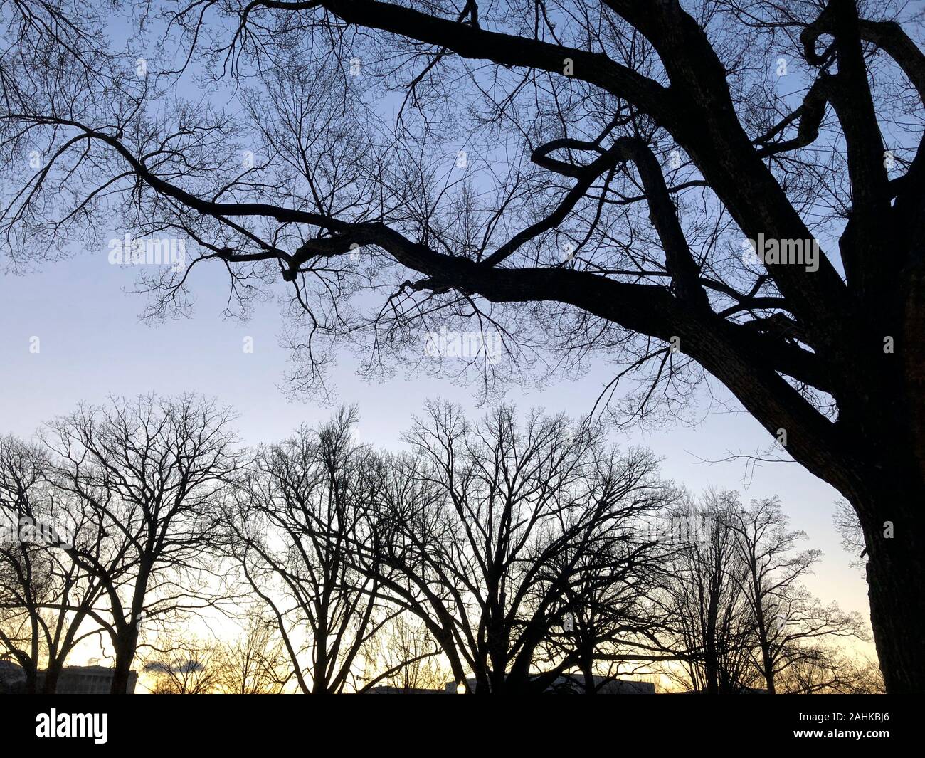 Sonnenuntergang im Winter Bäume Stockfoto