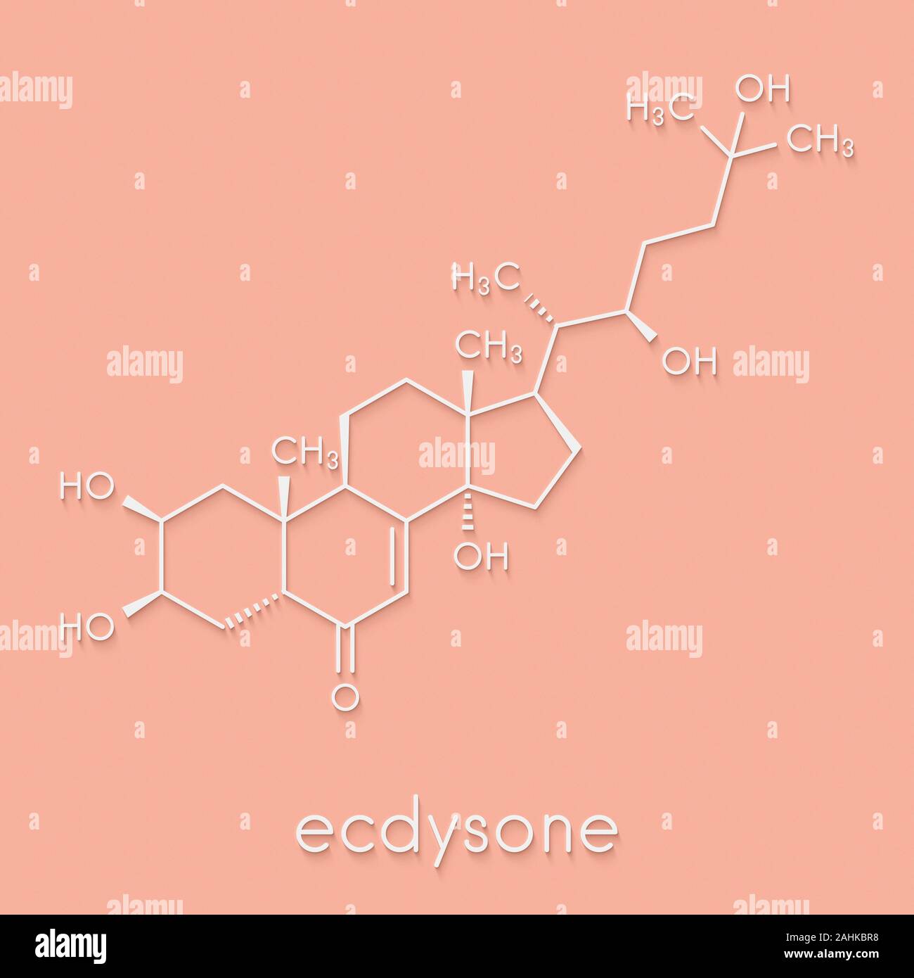 Ecdysone insekt Mauser prohormon. Skelettmuskulatur Formel. Stockfoto