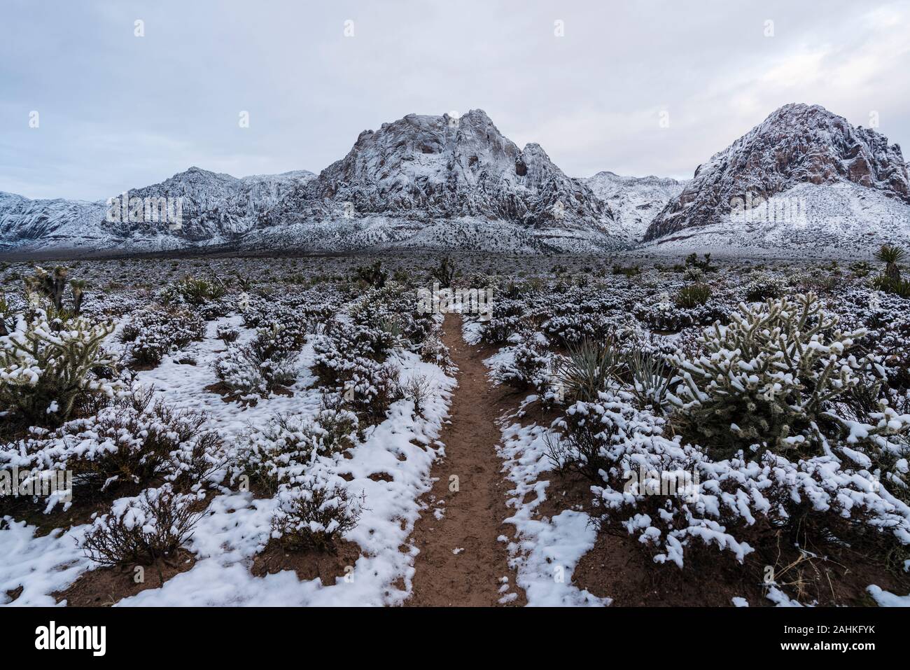 Winter Schnee und düstere Wolken auf Sandstein wüste Peaks im Red Rock Canyon National Conservation Area. Eine beliebte Natural Area 20 Meilen von Las Vegas Stockfoto