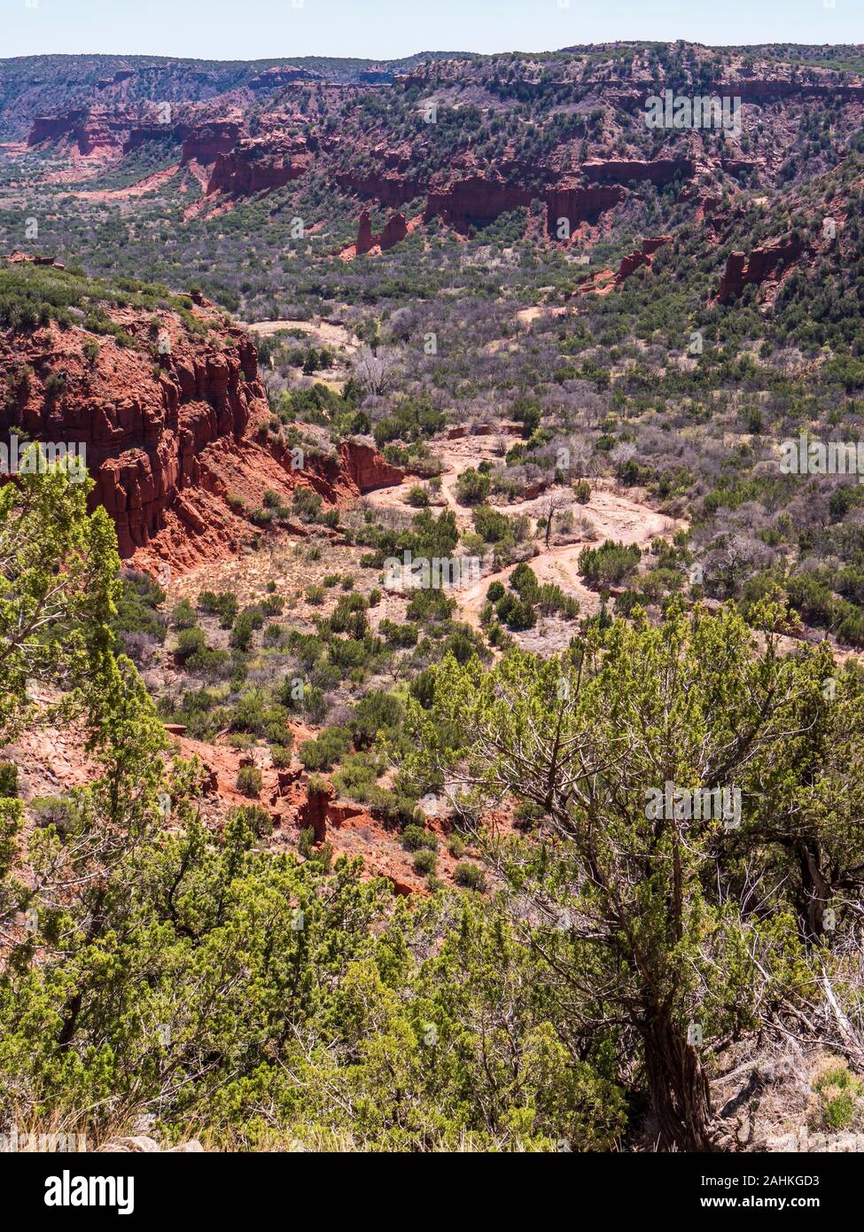 Mit Blick auf den South Prong der Kleinen Roten Fluss von der Upper South Prong Trail, Caprock Canyons State Park, Quitaque, Texas. Stockfoto