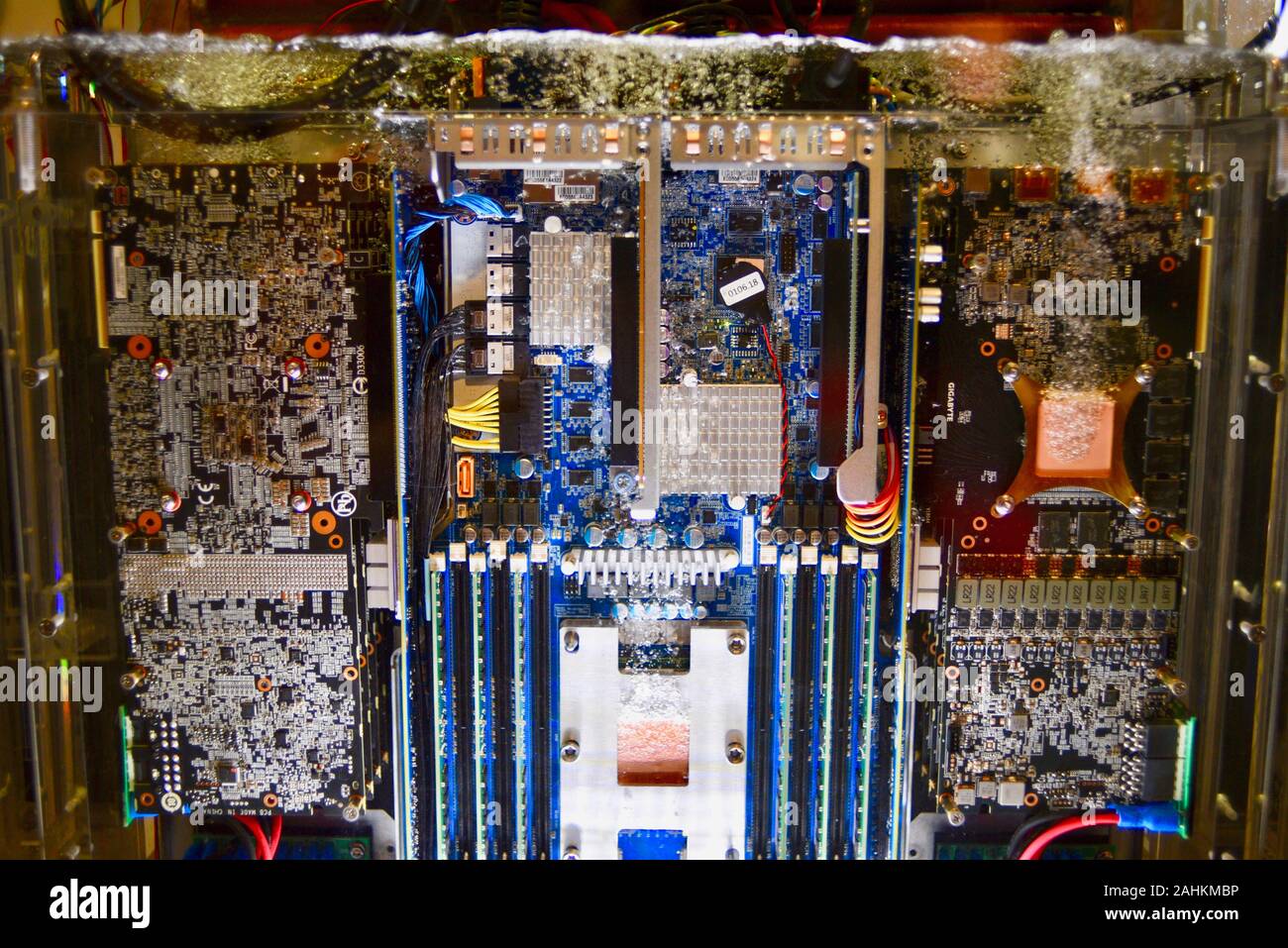 Gigabyte 2-phasig Eintauchen in Flüssigkeit (3M Novec fluid) Kühlung vollständig mit Wasser bedeckt Data Center Server/Computer des Typs auf der CES, Las Vegas, NV, USA. Stockfoto