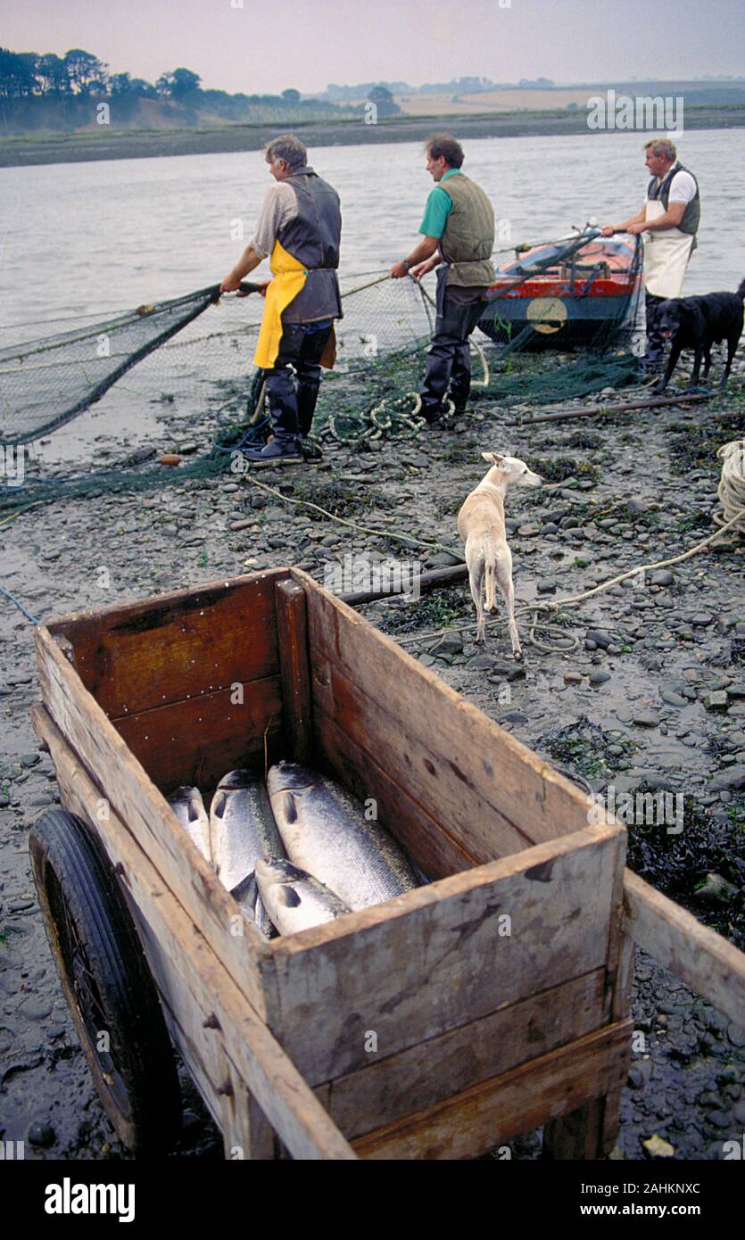 Die Crew bei Whitesands Fischerei in der Nähe von Berwick auf dem Fluss Tweed Angeln in den frühen 90er Jahren die Fischerei wie fast alle der Verrechnung Stationen ist nun geschlossen. Stockfoto