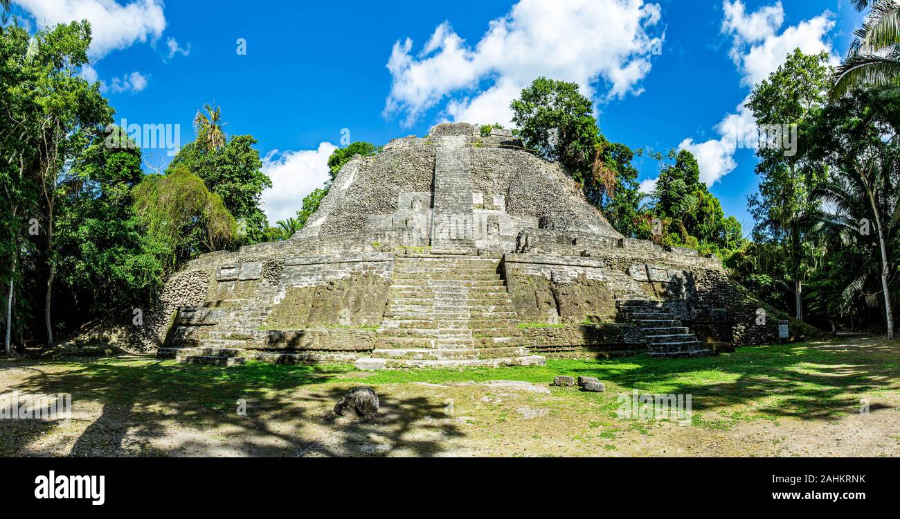 Lamanai archäologische reserve Maya Ruinen hohe Tempel Belize Dschungel Stockfoto