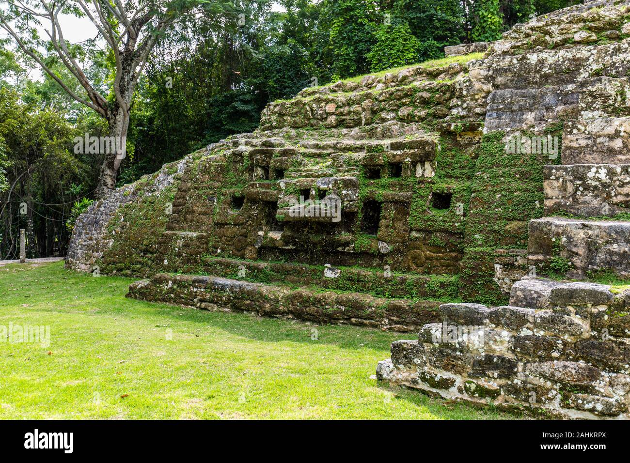 Lamanai archäologische reserve Maya Ruinen Jaguar Tempel Belize Dschungel Stockfoto