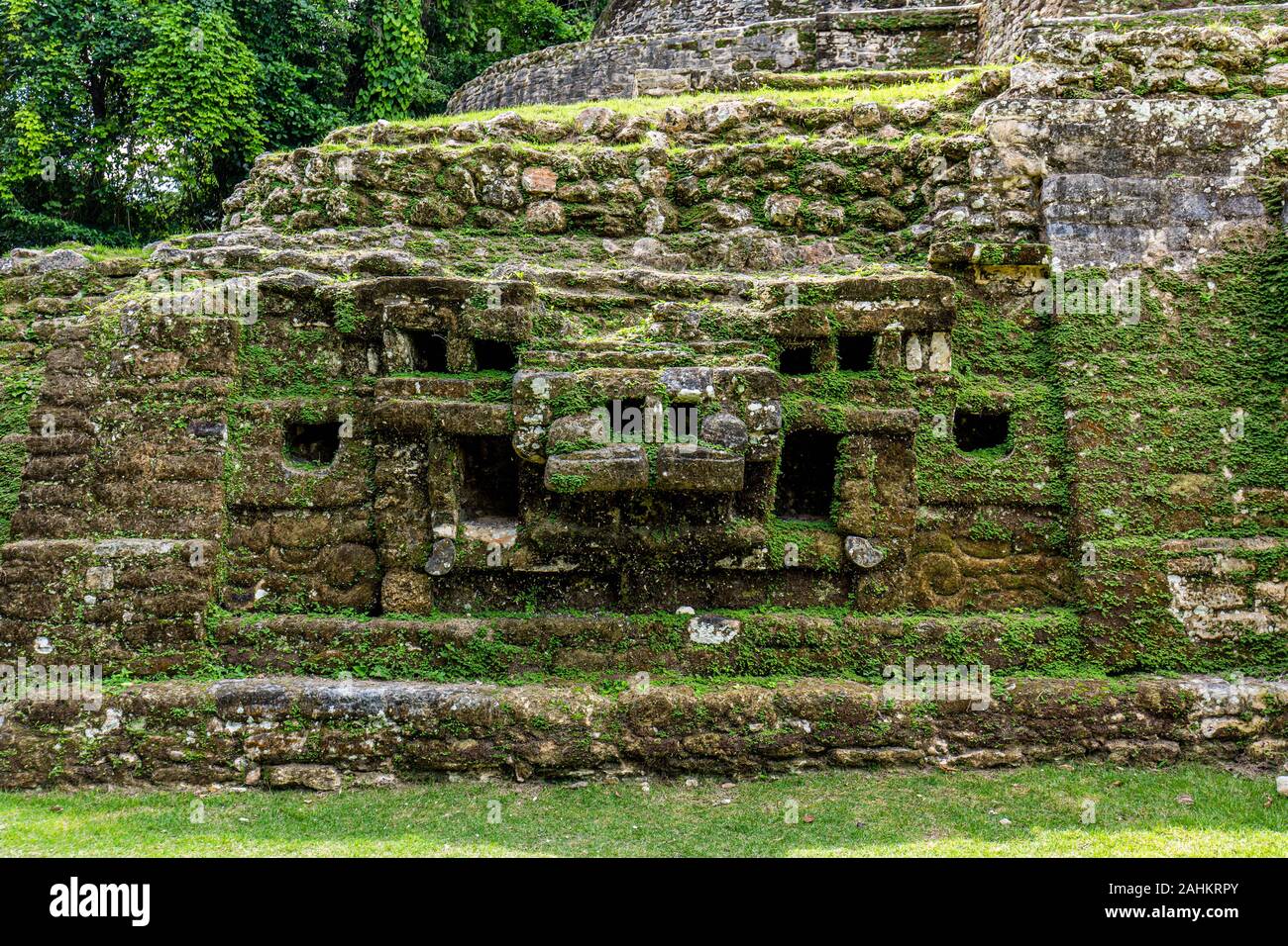 Lamanai archäologische reserve Maya Ruinen Jaguar Tempel Belize Dschungel Stockfoto