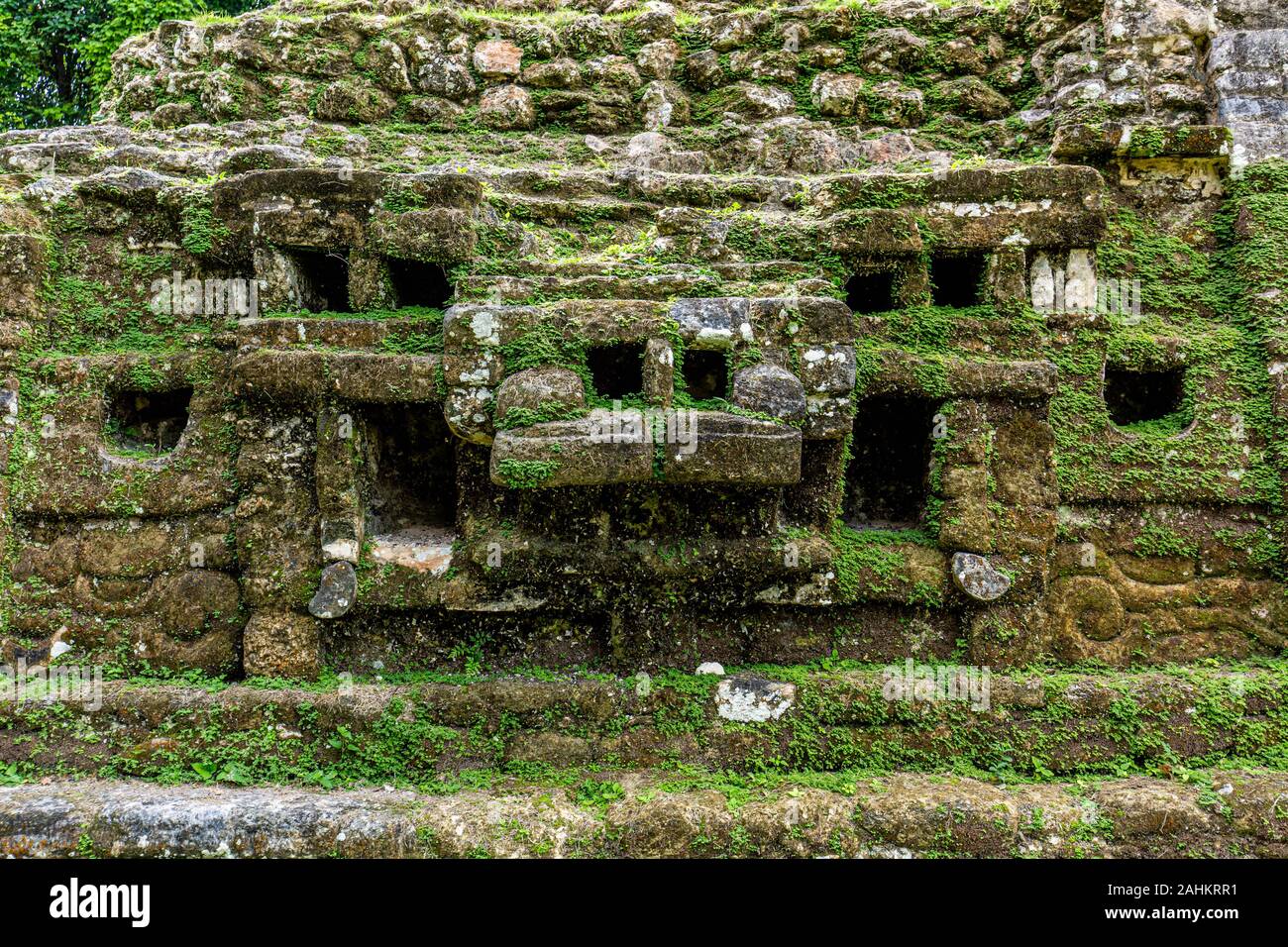 Lamanai archäologische reserve Maya Ruinen Jaguar Tempel Belize Dschungel Stockfoto