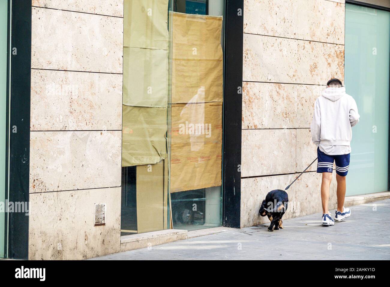 Valencia Spanien, Hispanic Latino, Ciutat Vella, Altstadt, historisches Viertel, Mann Männer Erwachsene Erwachsene, Wandern, städtischer Hund Hunde Haustiere, Leine, Schnüffeln Stockfoto
