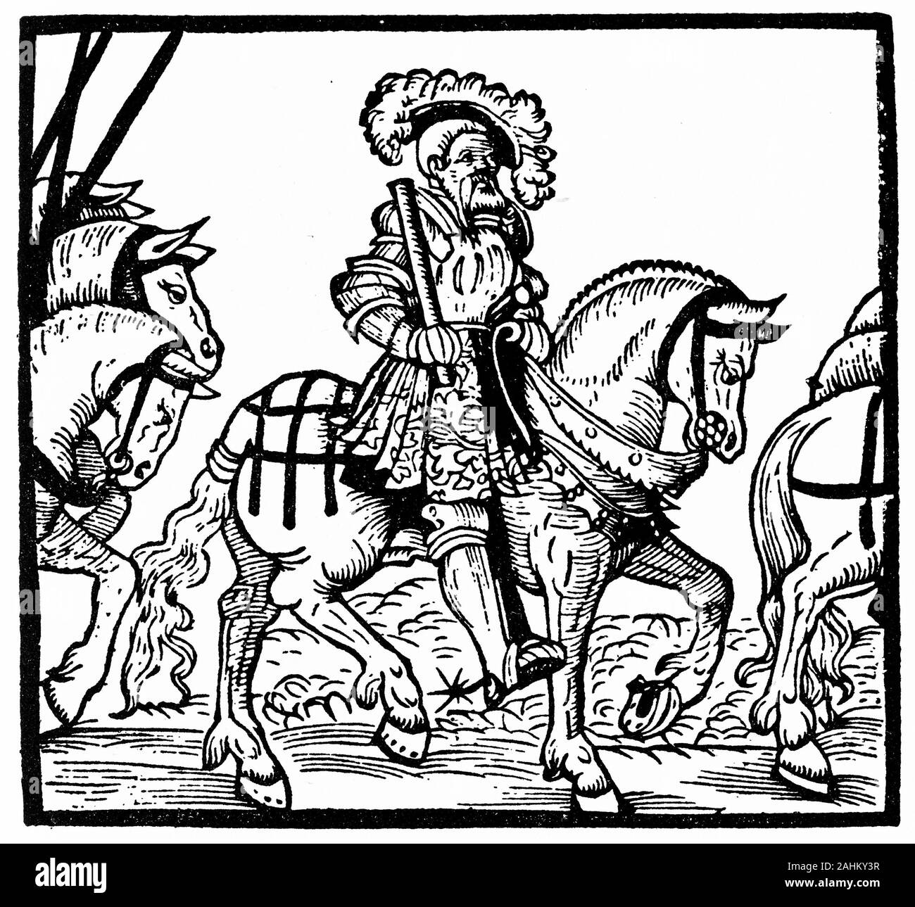 Porträt von Karl V. (1500-1558) Kaiser des Heiligen Römischen Reiches und Erzherzog von Österreich von 1519 eingraviert, König von Spanien (Kastilien und Aragon, wie Charles I) von 1516, und Herrn der Niederlande als Herzog von Burgund von 1506. Stockfoto