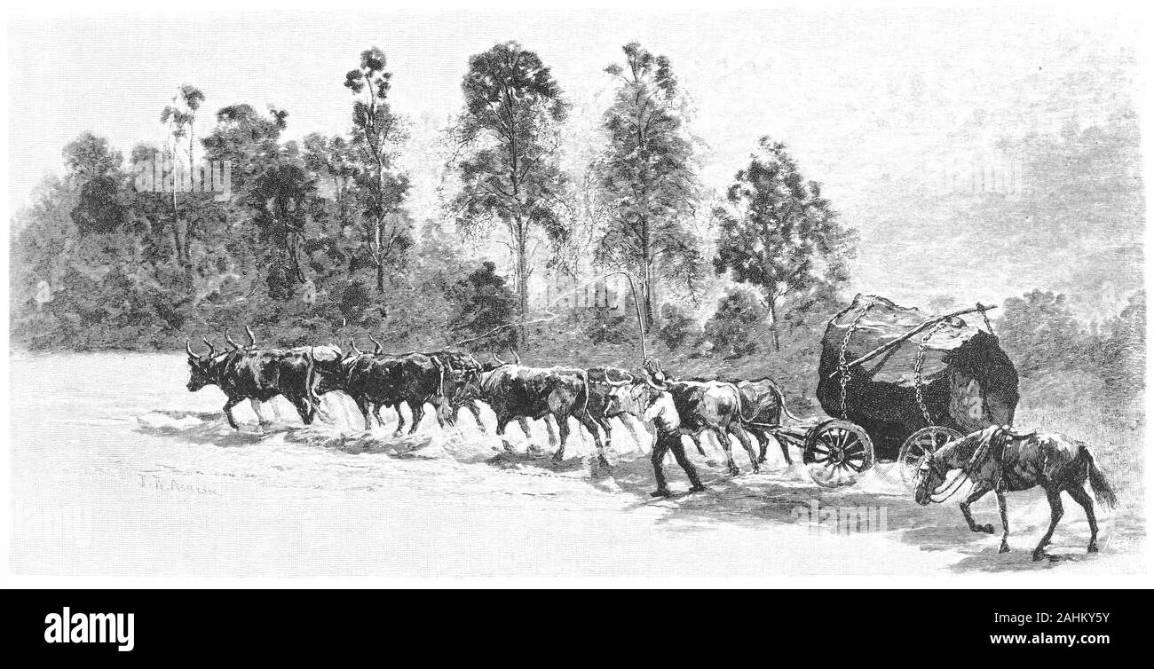 Gravur einer bullocky und sein Team Kart eine Zeder auf dem Sägewerk in der Nähe von Richmond, Australien, 1886 Log Stockfoto