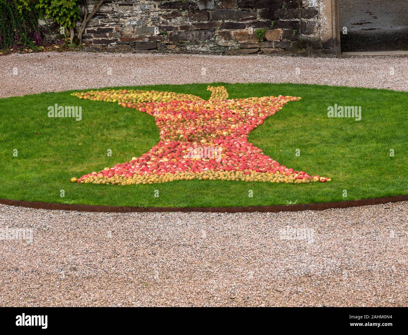 Tavistock, Großbritannien - 29 September 2019: Viele rote und gelbe Äpfel bilden die Form eines halben gegessen Apple auf einem Gras Hintergrund Stockfoto