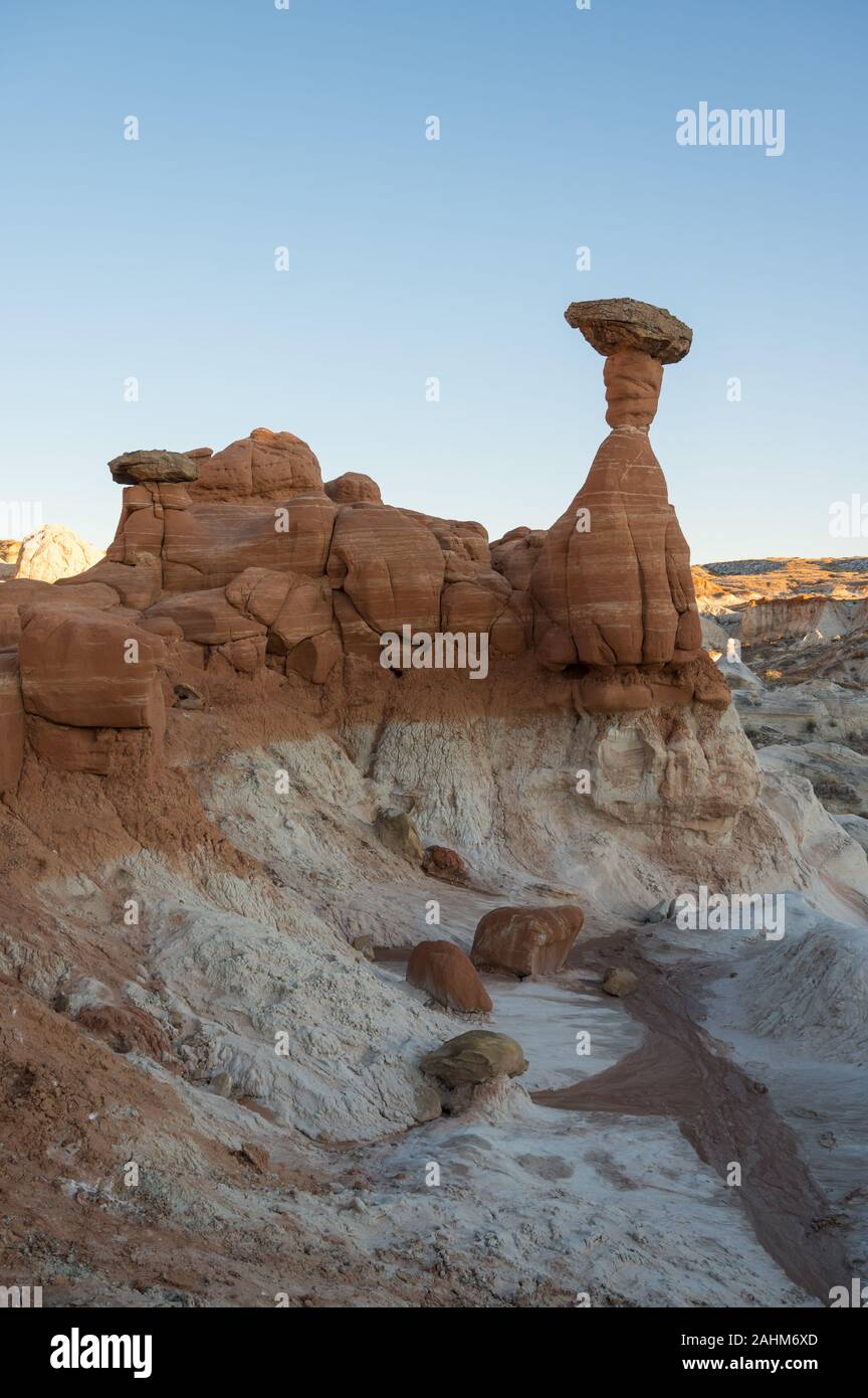 Fliegenpilz Hoodoos auf dem Paria Rimrocks/Fliegenpilz Hoodoos Trail in Kanab, Utah Stockfoto