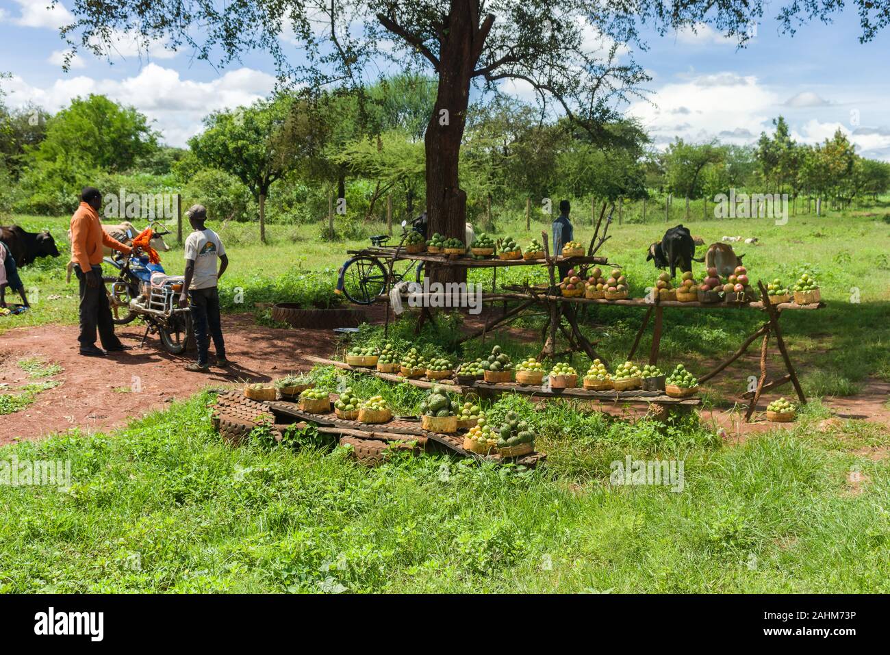 Eine kleine hölzerne Stall angezeigte Obst zum Verkauf mit Einheimischen in der Nähe, Kenia, Ostafrika Stockfoto