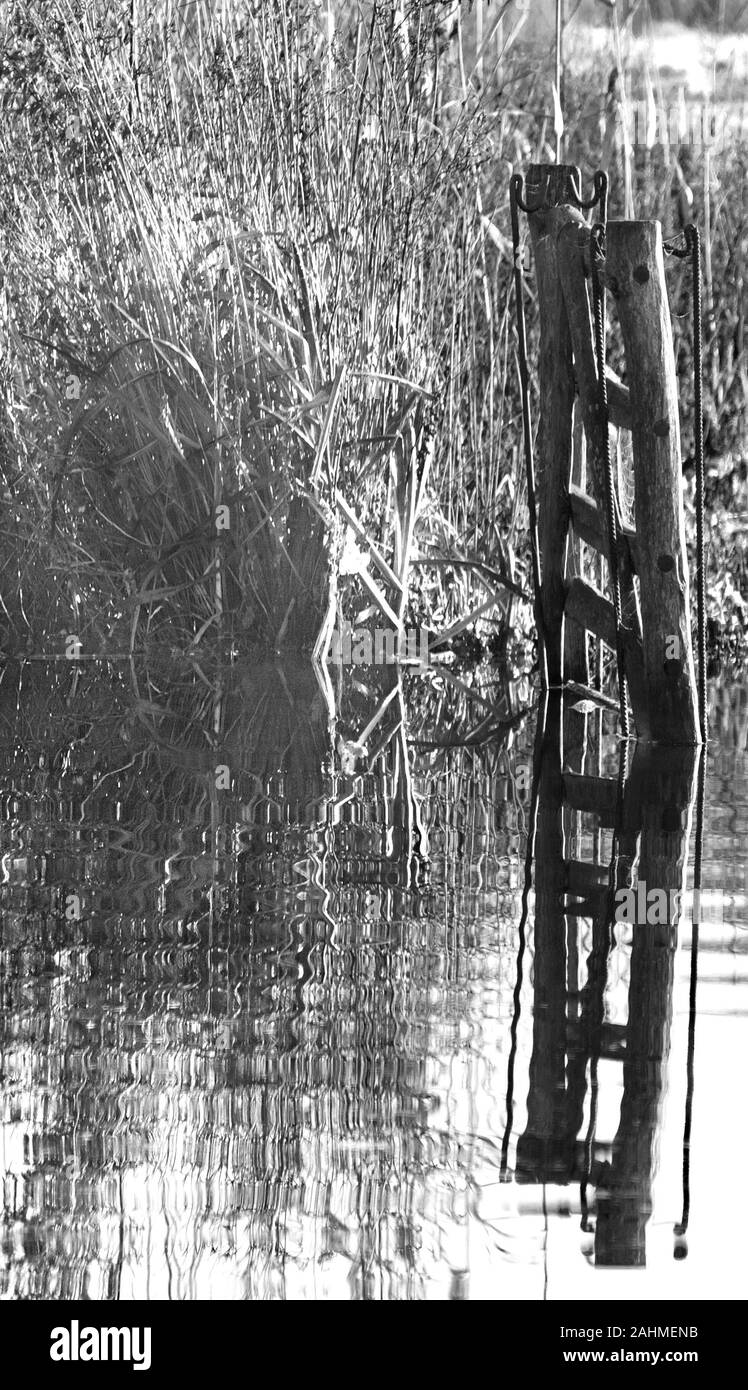 Überflutet Tor in Schilf Schwarz und Weiß Stockfoto