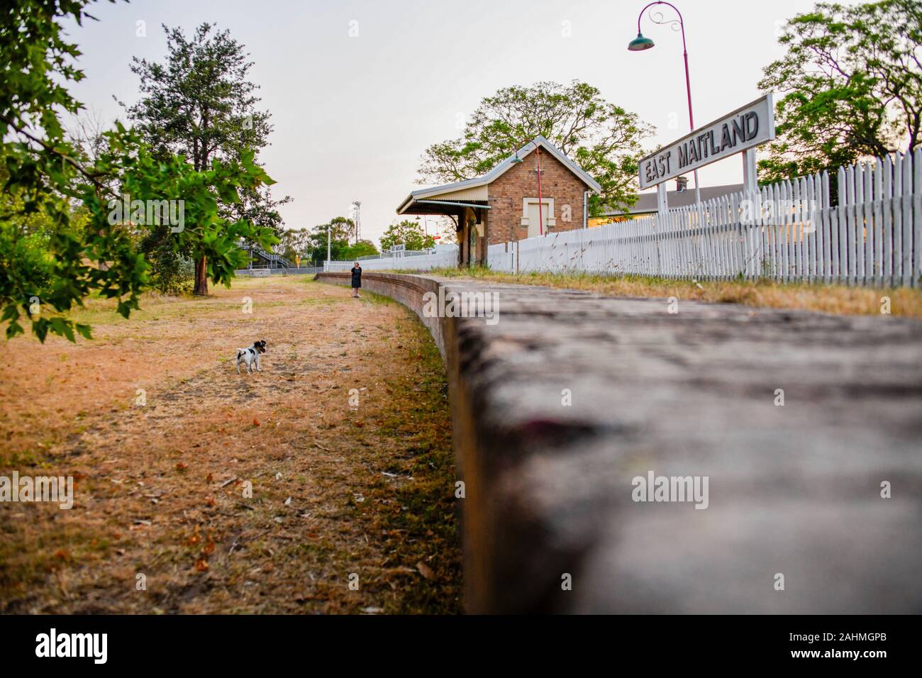 Aufgabe der früheren East Maitland Station und Plattform auf der die Verstorbene Morpeth Strangleitung mit Frau und ihr Hund im Hintergrund Stockfoto