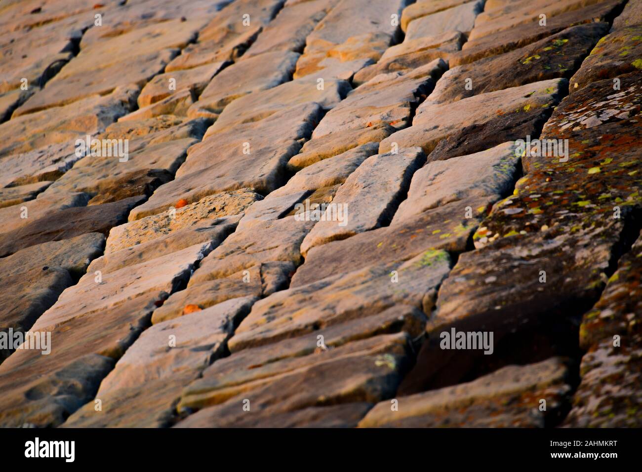 Alte Sandstein Backstein Stützmauer mit Gelb, Grün, Schwarz, Orange Moss im Sonnenuntergang Stockfoto