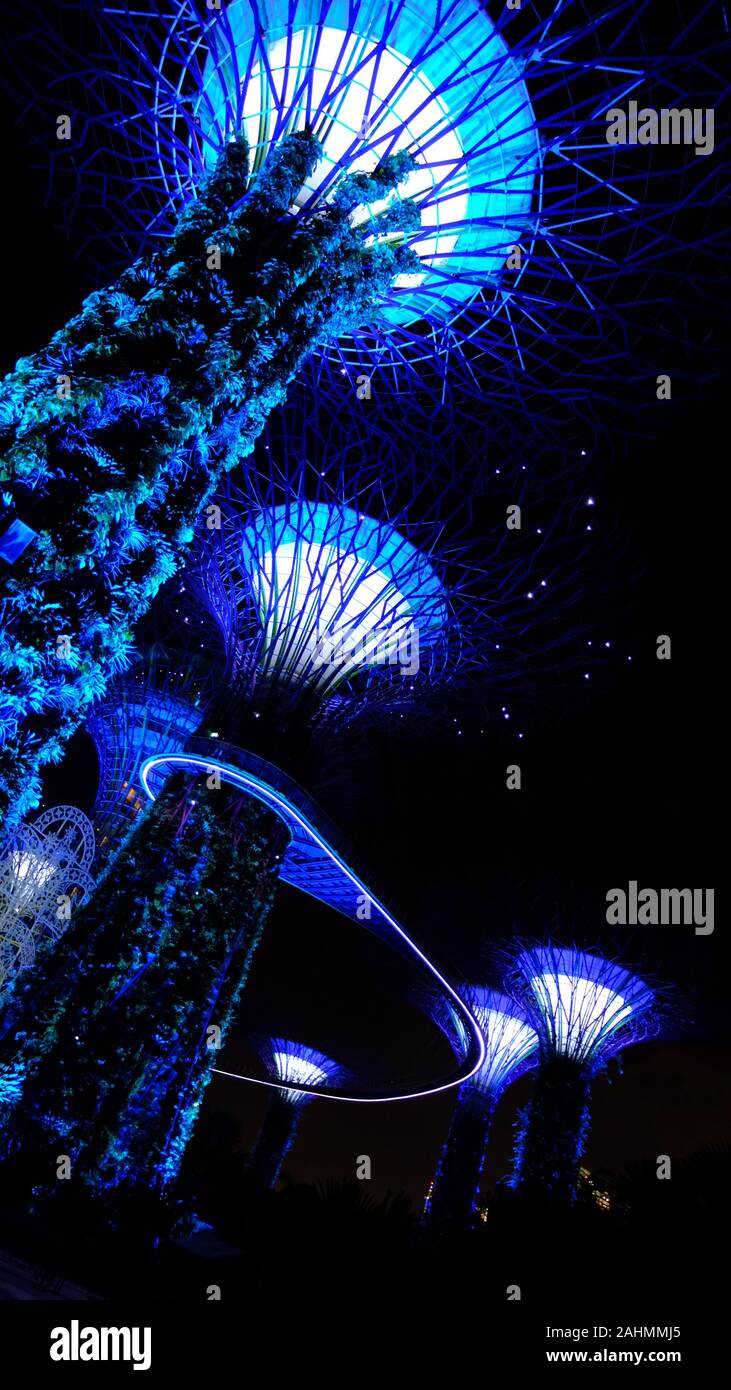 Gardens by the Bay in Singapur bei Nacht Stockfoto