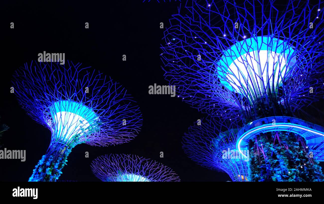 Gardens by the Bay in Singapur bei Nacht Stockfoto