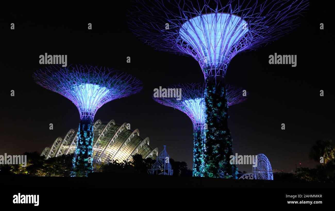 Gardens by the Bay in Singapur bei Nacht Stockfoto